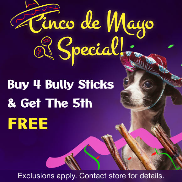 Promotion Image