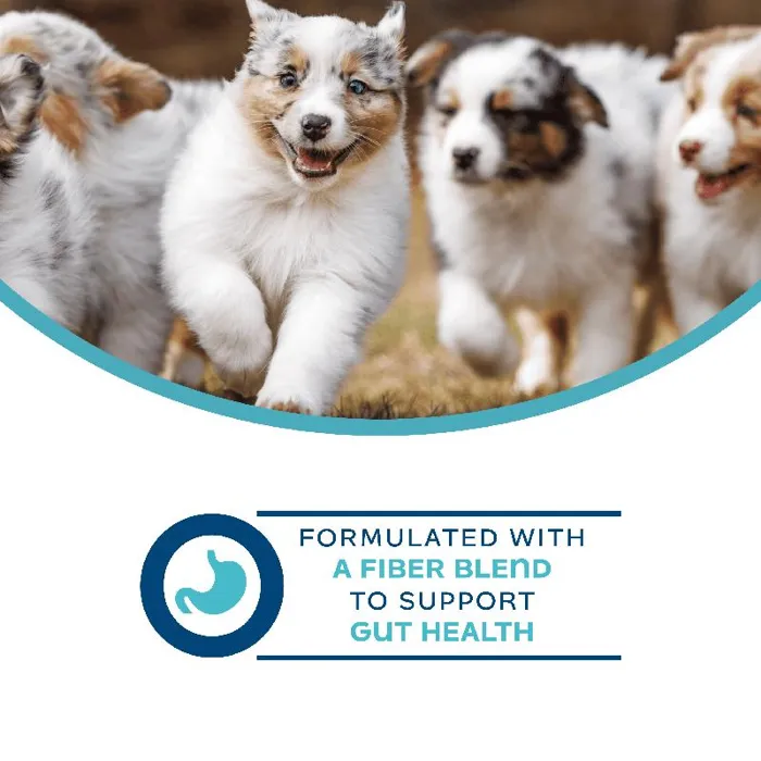 Fromm Nutritionals Digestive Pate 13 Oz